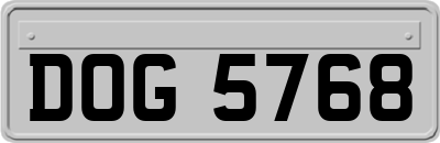 DOG5768