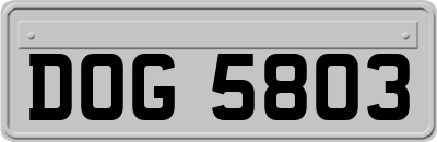 DOG5803