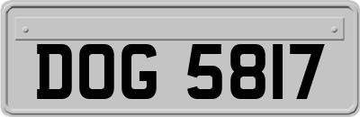 DOG5817