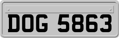 DOG5863