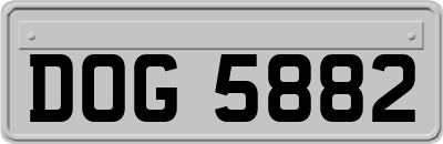 DOG5882