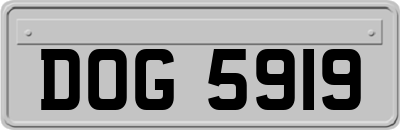 DOG5919