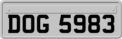 DOG5983