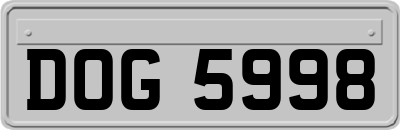 DOG5998