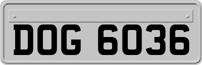 DOG6036