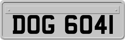 DOG6041