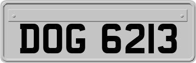 DOG6213
