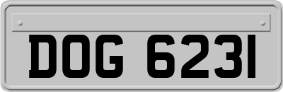 DOG6231