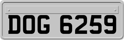 DOG6259