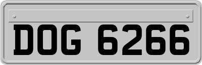 DOG6266