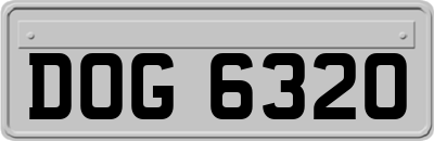 DOG6320