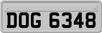 DOG6348