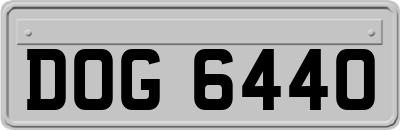 DOG6440