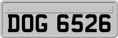 DOG6526