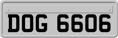 DOG6606