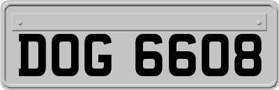 DOG6608