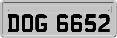 DOG6652