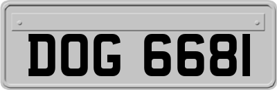 DOG6681