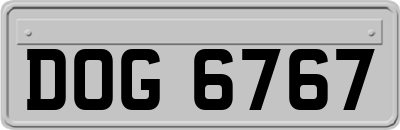 DOG6767