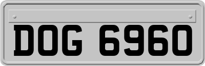 DOG6960