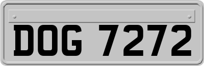 DOG7272