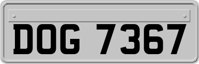 DOG7367