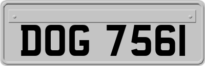 DOG7561