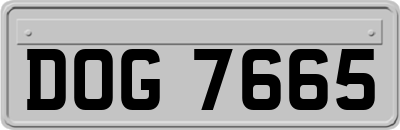 DOG7665
