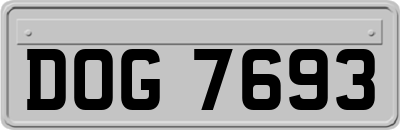 DOG7693