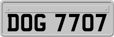 DOG7707