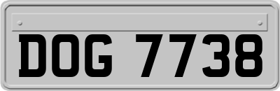DOG7738