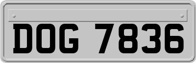 DOG7836