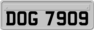 DOG7909