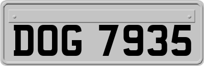 DOG7935