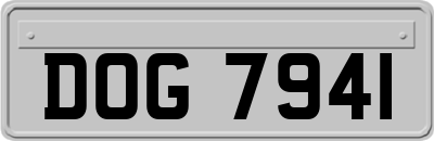 DOG7941