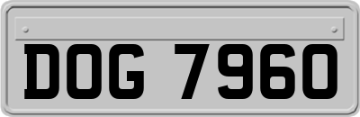 DOG7960