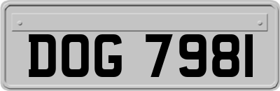 DOG7981