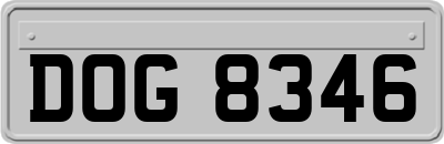 DOG8346
