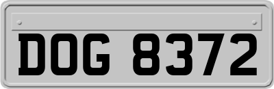 DOG8372