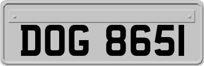 DOG8651