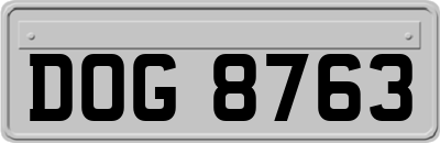DOG8763
