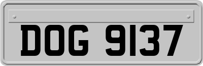 DOG9137