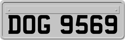DOG9569