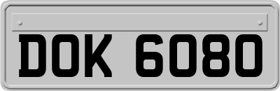 DOK6080