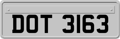 DOT3163