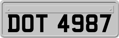 DOT4987