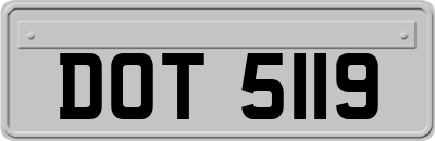 DOT5119