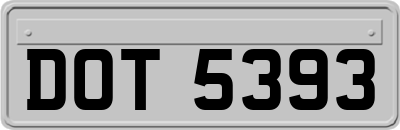 DOT5393