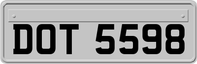 DOT5598