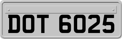 DOT6025
